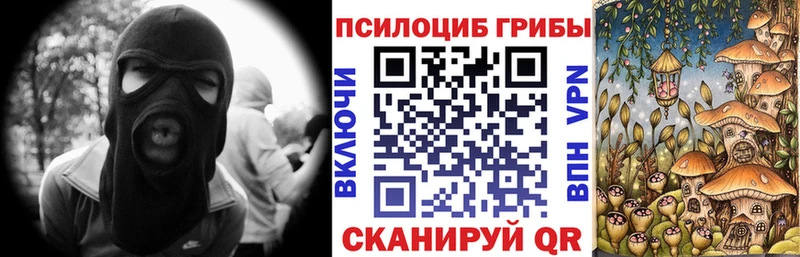 hydra ссылка  darknet какой сайт  Галлюциногенные грибы Magic Shrooms  Дзержинск 