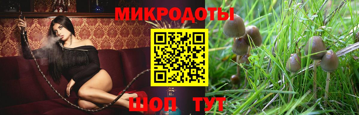 Дзержинск  Галлюциногенные грибы Magic Shrooms  Вход с VPN  Галлюциногенные грибы мицелий 